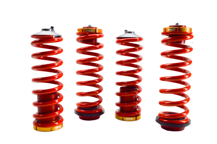 Coilover Conversion, 04-07 Cadillac CTS-V