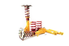2015 Mustang S550 Complete Coilover System