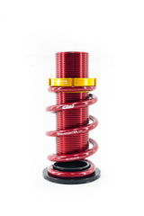 Coilover Conversion Kit, 86-89 Acura Integra Rear