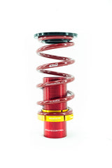 2006-2011 8th Generation Honda Civic Coilover Conversion Kit