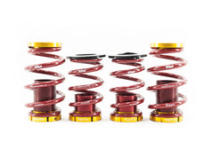 Coilover Conversion kit, 03-09 Honda Element